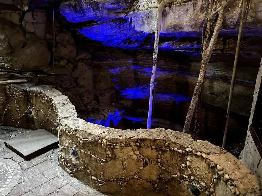 아파트 Jungle Meets Modern Cavern On 5Th Ave 신데 델 카르멘