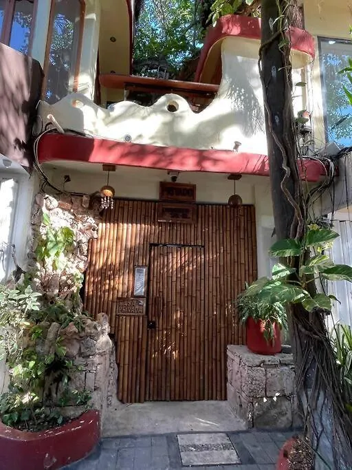Jungle Meets Modern Cavern On 5Th Ave 신데 델 카르멘