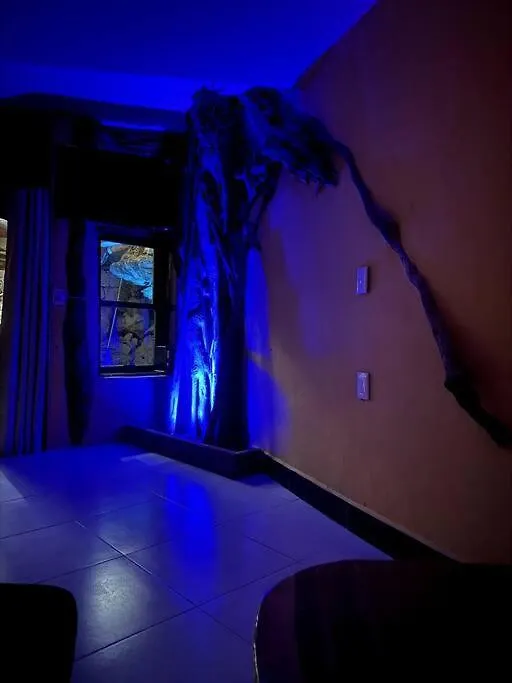 Jungle Meets Modern Cavern On 5Th Ave 신데 델 카르멘 멕시코