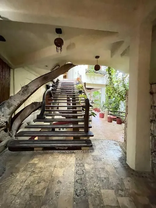 Apartmán Jungle Meets Modern Cavern On 5Th Ave Playa del Carmen Mexiko