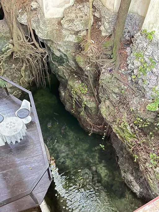 Apartmán Jungle Meets Modern Cavern On 5Th Ave Playa del Carmen
