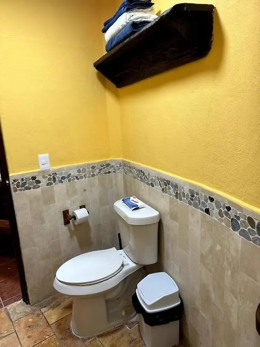 Jungle Meets Modern Cavern On 5Th Ave Playa del Carmen Apartmán