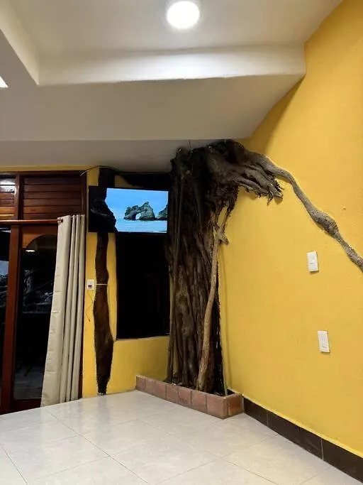 Jungle Meets Modern Cavern On 5Th Ave Playa del Carmen Apartmán